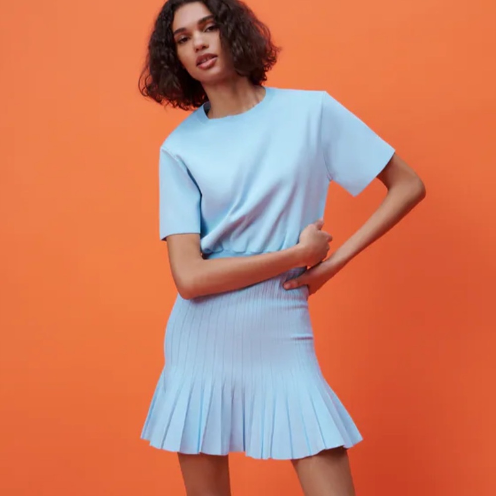 Zara FINE PLEAT KNIT DRESS